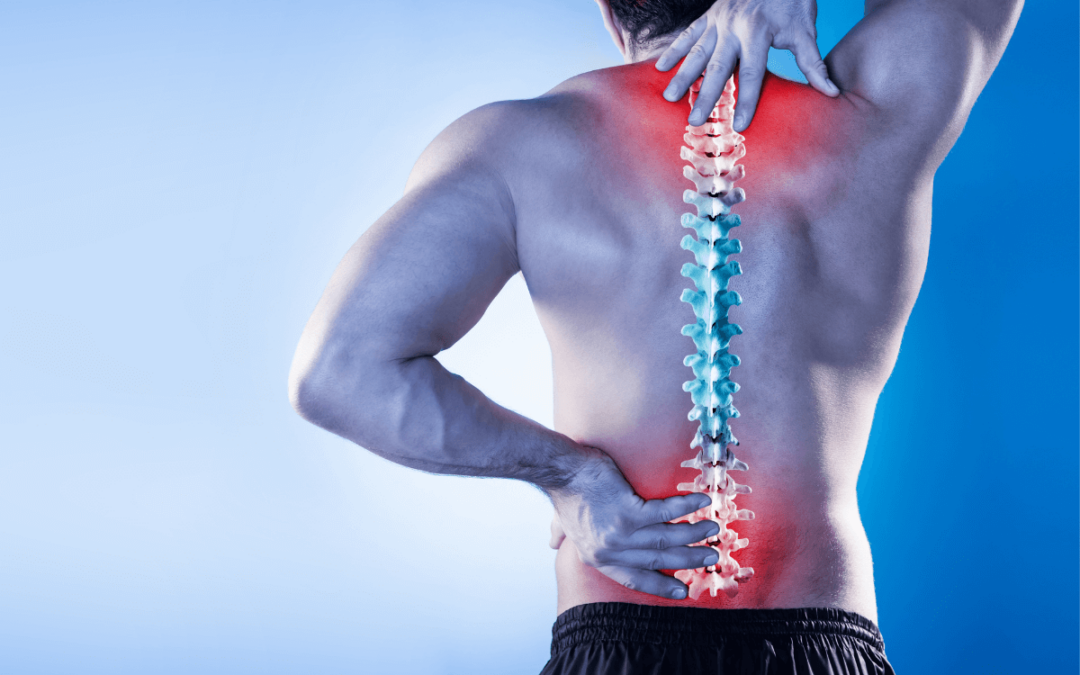 Die negativen Auswirkungen von Rückenschmerzen und wie ein Online-Rückenkurs helfen kann