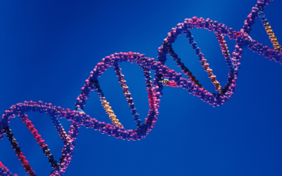 Epigenetik entschlüsselt: Wie du deine Gene für ein gesünderes Leben aktivierst